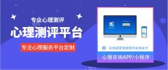 心理咨询服务团队怎么建立自己的心理测评平台？