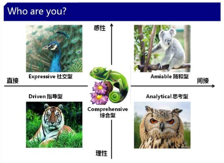 PDP性格测试