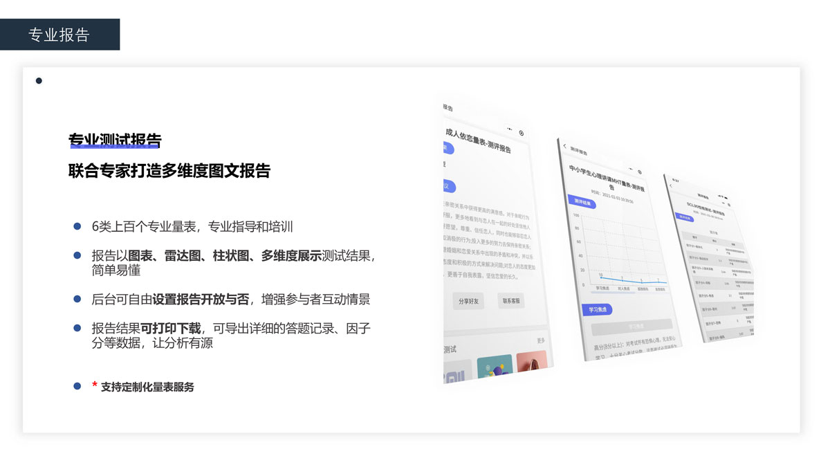 专业报告
