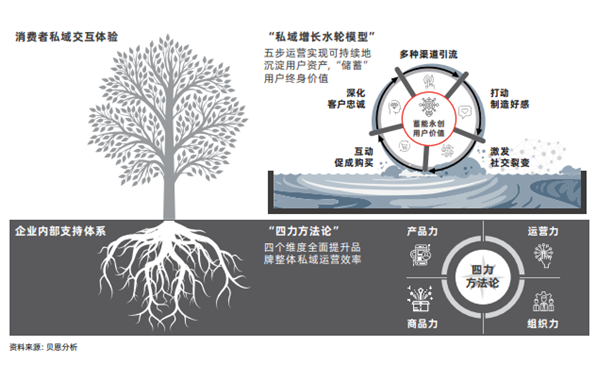 私域流量